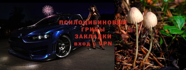 МДПВ Алексин