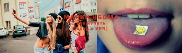 стаф Алзамай