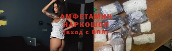 стаф Алзамай