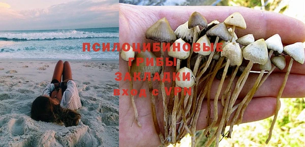 МДПВ Алексин