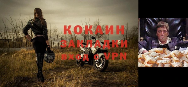 стаф Алзамай