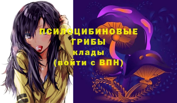 первитин Алексеевка