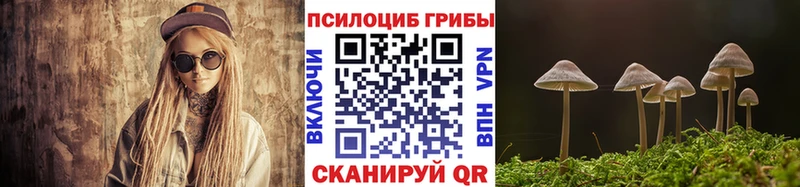 Купить закладки  Удомля  Галлюциногенные грибы Psilocybine cubensis 